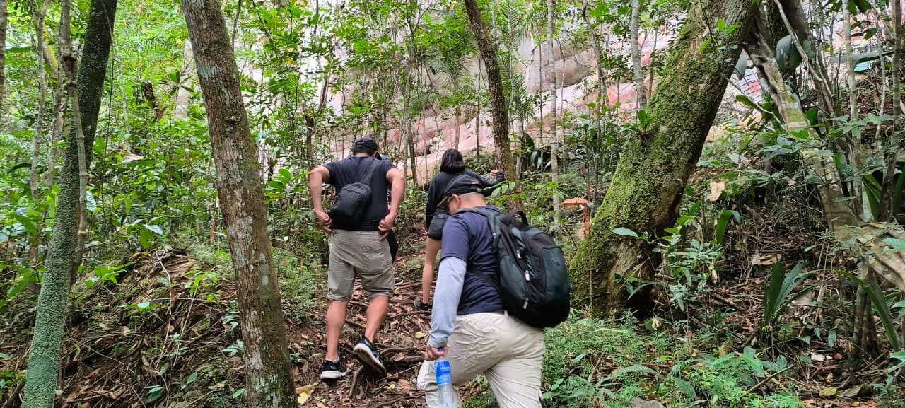 Caminata por la selva hacia el raudal